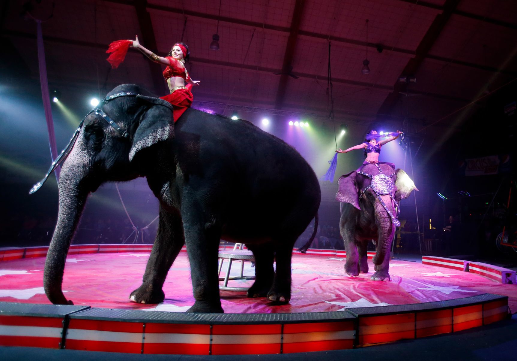 Al Bedoo Shrine Circus